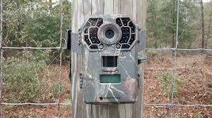 G42NG No-Glo SD-Card Trail Camera